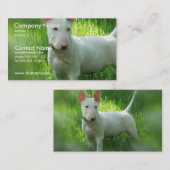 ブルテリアの名刺 名刺 (正面/裏面)