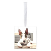 ブルテリアクリスマスドッグツーフォトホリデー キューブオーナメント (右)