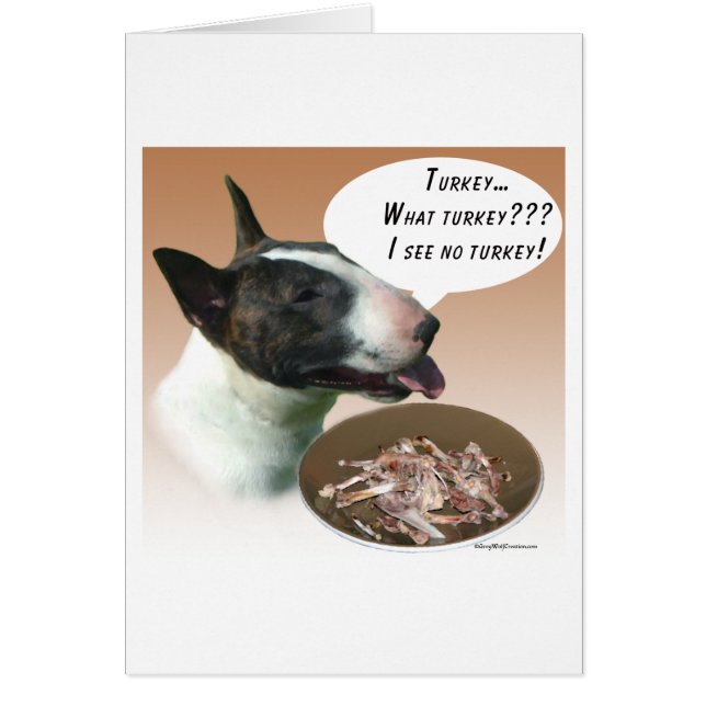 ブルテリアトルコ (正面)