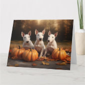 ブルテリアパピーオータムデライトカボチャ カード (正面)