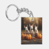 ブルテリアパピーオータムデライトカボチャ キーホルダー (正面左)