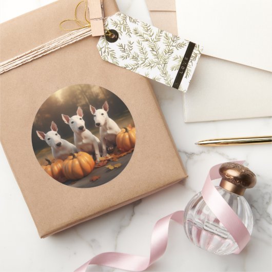 ブルテリアパピーオータムデライトカボチャ ラウンドシール (ギフト)