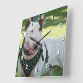 ブルテリア犬の正方形の時計 スクエア壁時計 (傾斜)