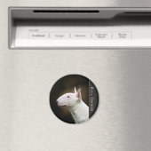 ブルテリア磁石 マグネット (インサイチュ (食洗機))