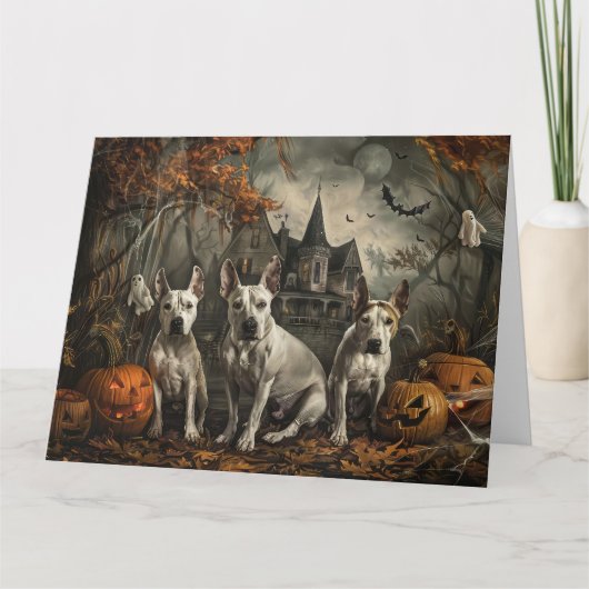 ブルテリア ハロウィンの夜 ワンコの喜び カード (正面)