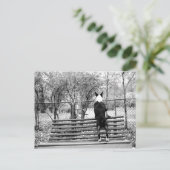 ブルテリア ポストカード (スタンド正面)