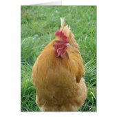 ブルトゥス (正面)