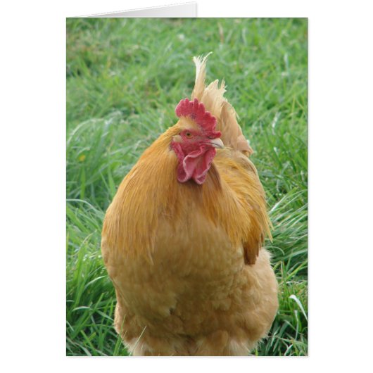 ブルトゥス (正面)