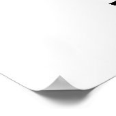 ブルトラウトのポスター ポスター (角)