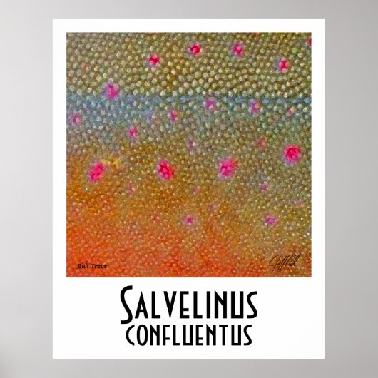 ブルトラウトのポスター ポスター (正面)
