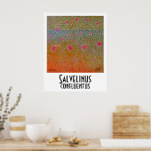 ブルトラウトのポスター ポスター (キッチン)