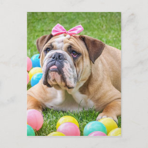 ブルドッグかわいい復活祭の動物の犬のハンデポートレートペット シーズンポストカード
