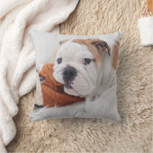 ブルドッグと遊んでいる英国のブルドッグの子犬 クッション (ブランケット)