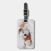 ブルドッグと遊んでいる英国のブルドッグの子犬 ラゲッジタグ (正面縦)