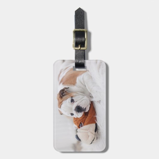 ブルドッグと遊んでいる英国のブルドッグの子犬 ラゲッジタグ (正面縦)