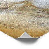 ブルドッグのポスター ポスター (角)