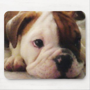 ブルドッグの子犬 マウスパッド
