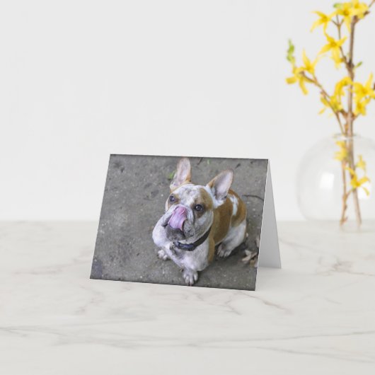 ブルドッグの挨拶状を雷が鳴って下さい カード (黄色い花)