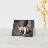 ブルドッグの挨拶状を雷が鳴って下さい カード (黄色い花)