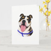 ブルドッグの挨拶状 カード (黄色い花)