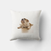 ブルドッグの枕 クッション (裏面)