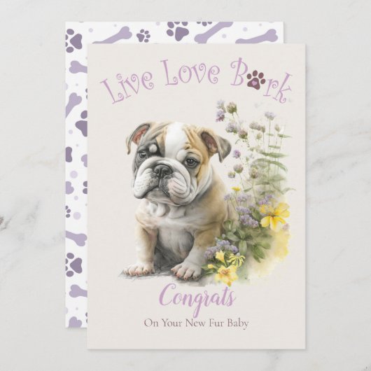 ブルドッグの犬の里親募集、ガッチャデー カード (正面/裏面)