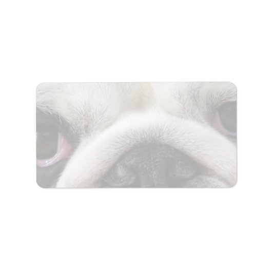 ブルドッグの目 ラベル (正面)