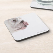 ブルドッグの舐めること コースター (左側)