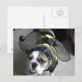 ブルドッグの蜂 ポストカード (正面/裏面)