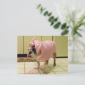 ブルドッグの衣装 ポストカード (スタンド正面)