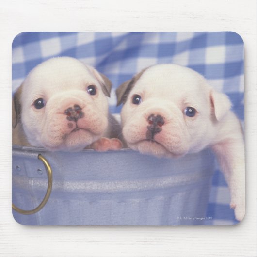 ブルドッグはイギリスのブルドッグと呼ばれることが多かった。 マウスパッド (正面)