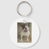 ブルドッグキーチェーン キーホルダー (裏面)