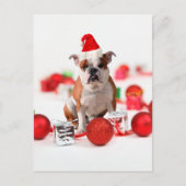 ブルドッグクリスマスギフトボックスオーナメントレッドサンタハット シーズンポストカード (正面)