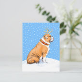 ブルドッグクリスマストナカイ赤と白 シーズンポストカード (スタンド正面)