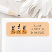 ブルドッグスフランスのハロウィーンカボチャ ラベル (インサイチュ)