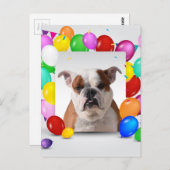 ブルドッグドッグとカラフルバルーン誕生日テーマ ポストカード (正面/裏面)