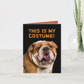 ブルドッグハロウィーンの衣装を着た白いプードル カード (正面)