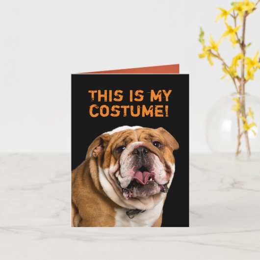 ブルドッグハロウィーンの衣装を着た白いプードル カード (黄色い花)