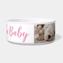 ブルドッグパピー眠る