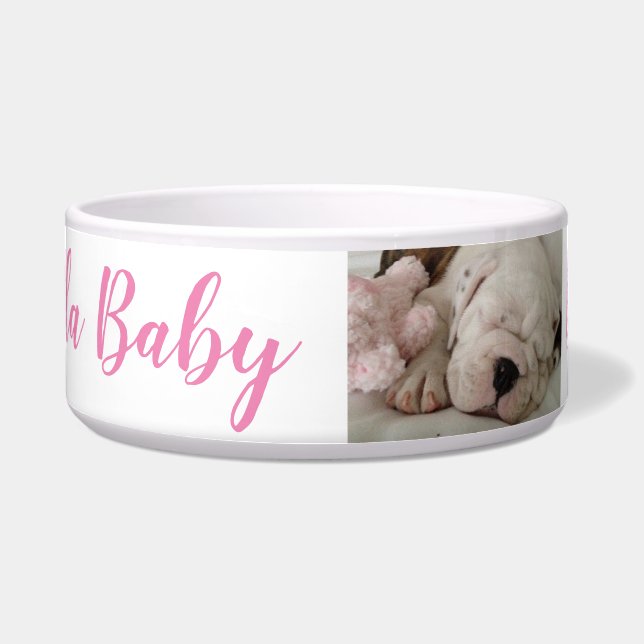 ブルドッグパピー眠る ボウル (正面)