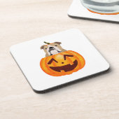 ブルドッグパンプキン コースター (左側)