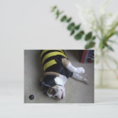 ブルドッグビー ポストカード (スタンド正面)