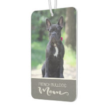 ブルドッグフランスのがあなたの犬の写真を挿入