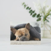 ブルドッグフランスのが眠っている ポストカード (スタンド正面)