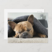 ブルドッグフランスのが眠っている ポストカード (正面/裏面)
