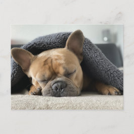 ブルドッグフランスのが眠っている ポストカード