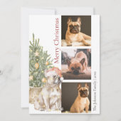 ブルドッグフランスのとクリスマスツリーペットドッグ写真 シーズンカード (正面)