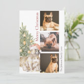 ブルドッグフランスのとクリスマスツリーペットドッグ写真 シーズンカード (スタンド正面)