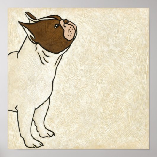 ブルドッグフランスののプロフィール ポスター (正面)