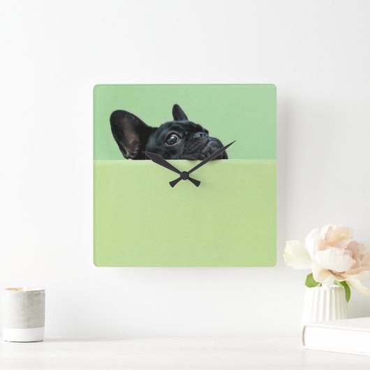 ブルドッグフランスのの子犬が壁の上を覗いている スクエア壁時計 (ホーム)